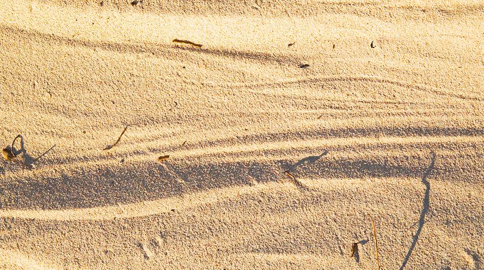 ¿De qué está hecha realmente la arena de las playas de Punta Cana?